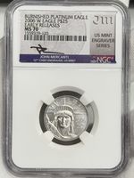 2006-W $25 1/4oz Platinum Eagle NGC MS70 Twenty Five Mercanti Burnished Coin