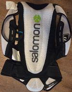 Salomon Skiing and Snowboarding Body Protection Men's Flexcell Back Protector