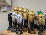 Football Trophy + FREE Engraving 2 Colours 5 Sizes available (LAST SIZE REDUCED)
