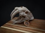 Scaled Down Sabretooth Tiger Skull Replica – Realistic 3D Printed Bone Model
