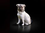 Rare Early Staffordshire Pug Dog in Muzzle Figurine