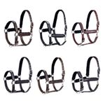 Premium Leather Horse Halter / Metal Hardware / Padded Fleece Lining