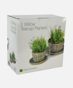 2x Willow Teacup Planters w/ Handles Wicker Basket Hand Woven Willow with Saucer
