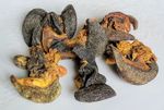 100g Oven Dried Seasoned Small/Medium Snails (Generous 15-20 pieces)