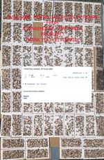 10 x KRITTER KILL CLOTHES MOTH DIAMOND TRAP PHEROMONE REFILLS- USE By 02/2027