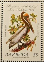 BARBUDA 1985 SG786 £5 BROWN PELICAN  -  MNH