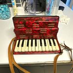 Red Small Piano Accordion 17 Treble Key 12 Bass Button 1 Register w/ Strap