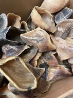 20 x Best British Cows Empty Hooves - Wholesale Huge Margin!! RRP £20