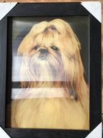 Shih Tzu 3D Framed Picture A3 Brand New