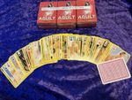 Playing cards - Adult - Really Naughty - New - FAST DELIVERY