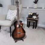 Alvarez AP66e Artist Series Acoustic with Hard Case Excellent Condition