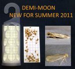 5 x KRITTER KILL DIAMOND CLOTHES PHEROMONE MOTH TRAPS  - USE BY 02/ 2027