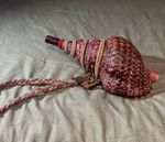 Beautiful Japanese Conch shell Horagai trumpet 30cm 19th Century Retouched