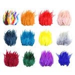 50PC 13-18CM NATURAL COCK ROOSTER TAIL FEATHERS FOR DIY CLOTHES DECOR TRIMS