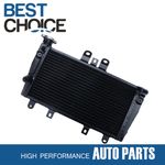 For Triumph 1050 Speed Triple 2005-2010 2006 2007 2008 2009 Aluminum Radiator