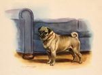1942 Antique Pug Print Edwin Megargee Pug Dog Art Illustration 5843j