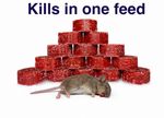 Super strong M Rat & Mouse Poison Killer Control Rodent Bait 15 X 20g blocks