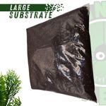 Tropical Substrate isopod Tarantula gecko Spider mix.