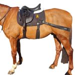 Equine Band System Pro Core Training Aid Saddle Pad + Bands by Equine Balance