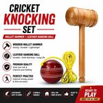 Cricket Bat Knocking Mallet & Hanging Ball Combo Pack-UK Seller-Fast Dispatch.