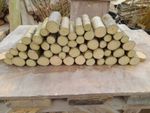 75 small Hazel  sticks and logs 2-3cm