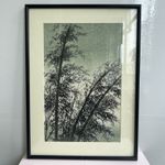 Eiichi Kotozuka Japanese Woodblock Print – Bamboo Grove – Mid 20th C – Framed