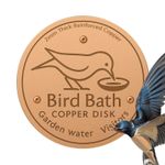 Bird Bath Copper Disk 99.9% Copper Cleaning Disk Triple-Point Support Tools