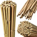 Heavy Duty Thick Strong Bamboo Canes 2FT-7FT Quality Garden Plant Support Sticks