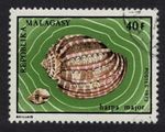 Malagasy Rep. Common harp Shell 1973 Canc SG#242 Sc#485