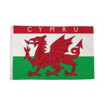 Flagtex Cymru Flag Wales Flag Welsh Flag with Eyelets