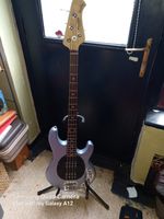 Sterling by Musicman Stingray Ray 4 HH by Ernie Ball