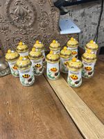 Set of 12 Merry Mushroom Spice Shakers Jars Sears Roebuck Mid Century Kitchen