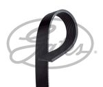 GATES Drive Belt for Suzuki Grand Vitara DDiS 1.9 October 2005 to October 2015