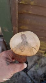 blackthorn walking stick,fully seasoned handcrafted in Scotland, one of a kind