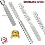 HOOF RASP VETERINARY INSTRUMENTS 7'' - Frog HOOF TRIMMING FILE Rasp Steel Sided