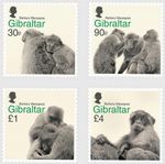 2020 GIBRALTAR Barbary Macaques (Apes/Monkeys) MNH 4v-Stamp Set (FV £6.20)