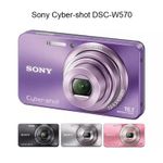 Sony Cyber-shot DSC-W570 16.1 Megapixel 5x Zoom Digital Camera Built-In Flash