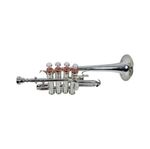 Piccolo nickel and finish with hard case bag and mouth piece