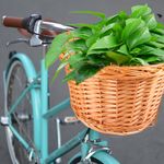 Detachable Chocolate Wicker Bicycle Basket for Children Front Handlebar