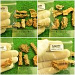 Fulgurite Crystal Fossilized Lightning Natural Mineral MoroccanUK Quick Postage✔