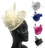 Sinamay Saucer Disc Wedding Fascinator Headband Aliceband Ladies Day Races Ascot