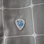 Black Stone Cherry Guitar Pick Chris Robertson
