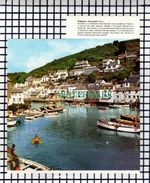 (7536) Polperro Cornwall - 1970s Cutting