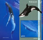 WHALES / Whale Mammals Sea Marine Life 1v-Stamp Sheet #112 (2023 Liberia)