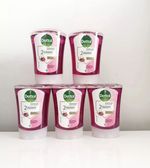 Dettol Soft on Skin Wild Berries & Apple Refill No Touch Soap 5x250ml
