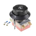 NC 250V 16A 50-300C Capillary Thermostat 0.7m with 2 Screws & 2 Crimp Terminal