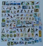 Birds Stamps Collection - 100 to 1000 Different Stamps