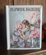 Royal Worcester Flower Fairies Ceramic Savings Book Moneybox