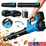 5500W 21V Cordless Electric Leaf Blower Brushless 6 Speed with 2 Battery&Charger