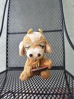 Vintage GUND Disney Musical Plush Pinocchio Collection 1940s Disney GUND RARE